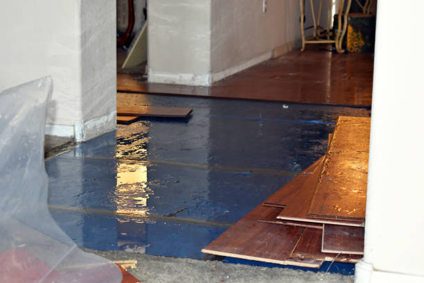 Professional Flood Cleanup technician working in Smithton, IL